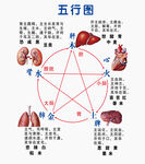 五行图