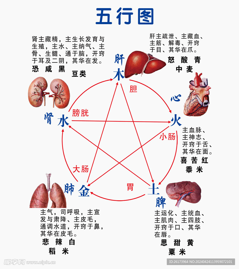 五行图