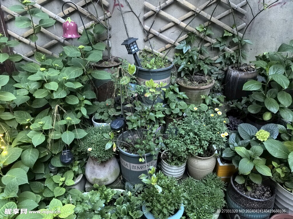 小花园