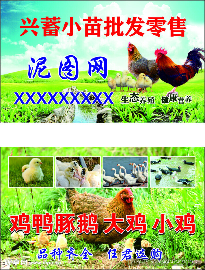小苗批发 名片