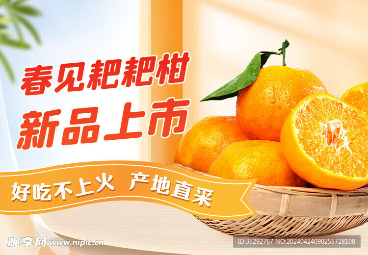 柑橘生鲜水果banner