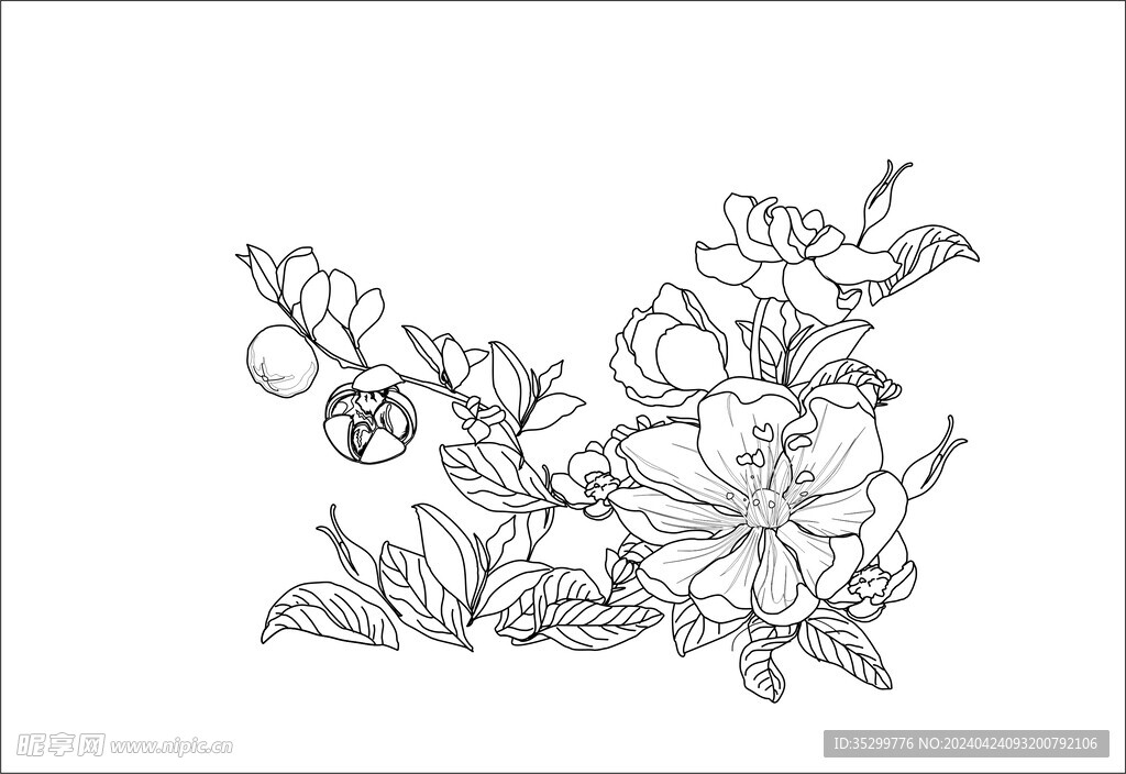 茶花线稿分层可编辑