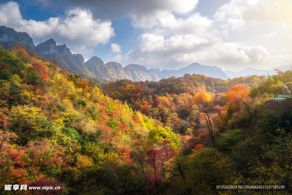 米仓山