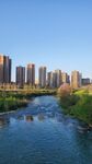 森林城市