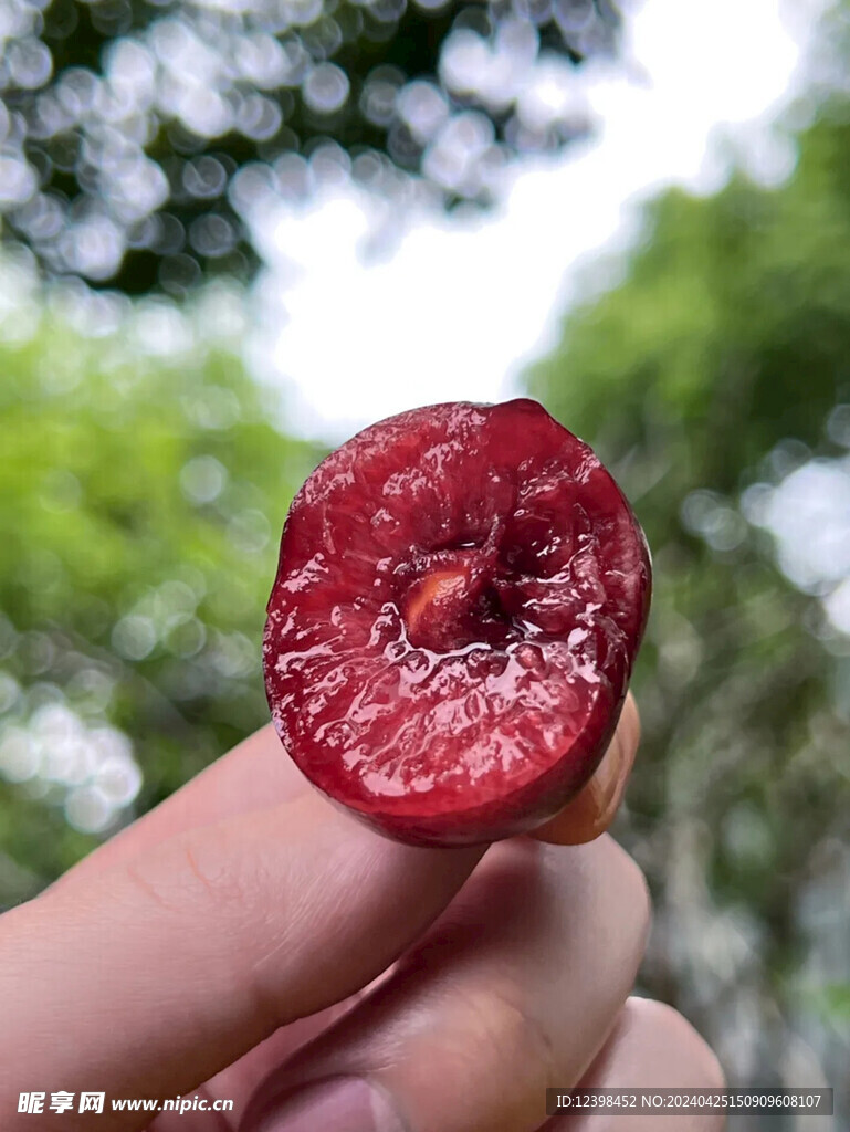 樱桃
