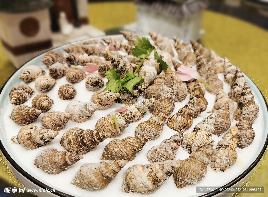  盐烤贝贝螺