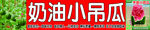奶油小吊瓜