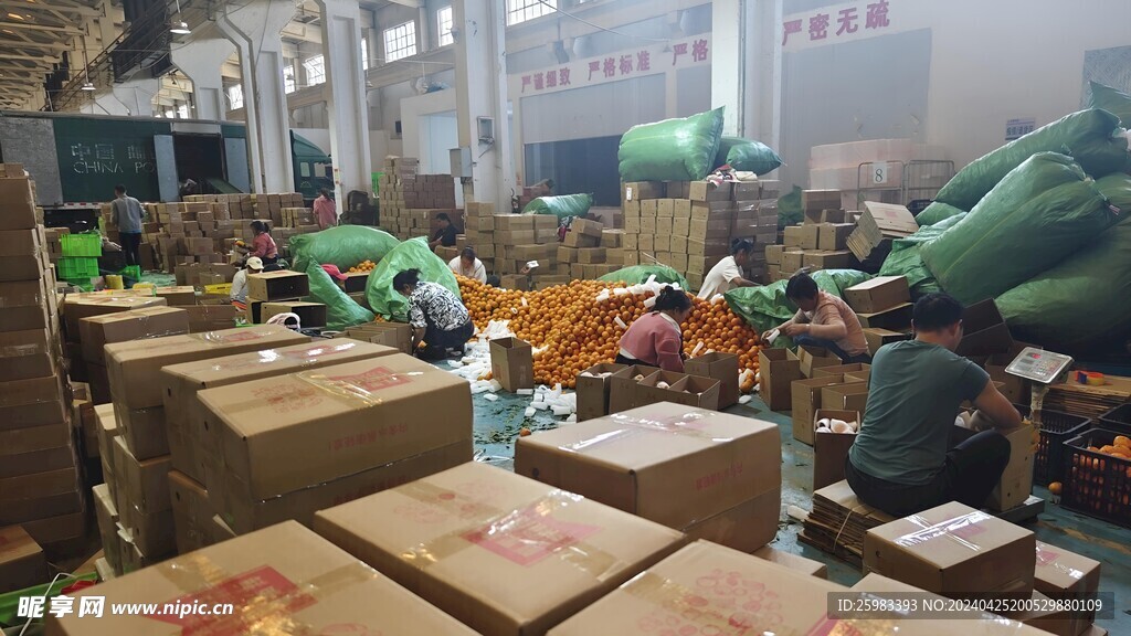 柑橘包装