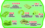 豆角介绍