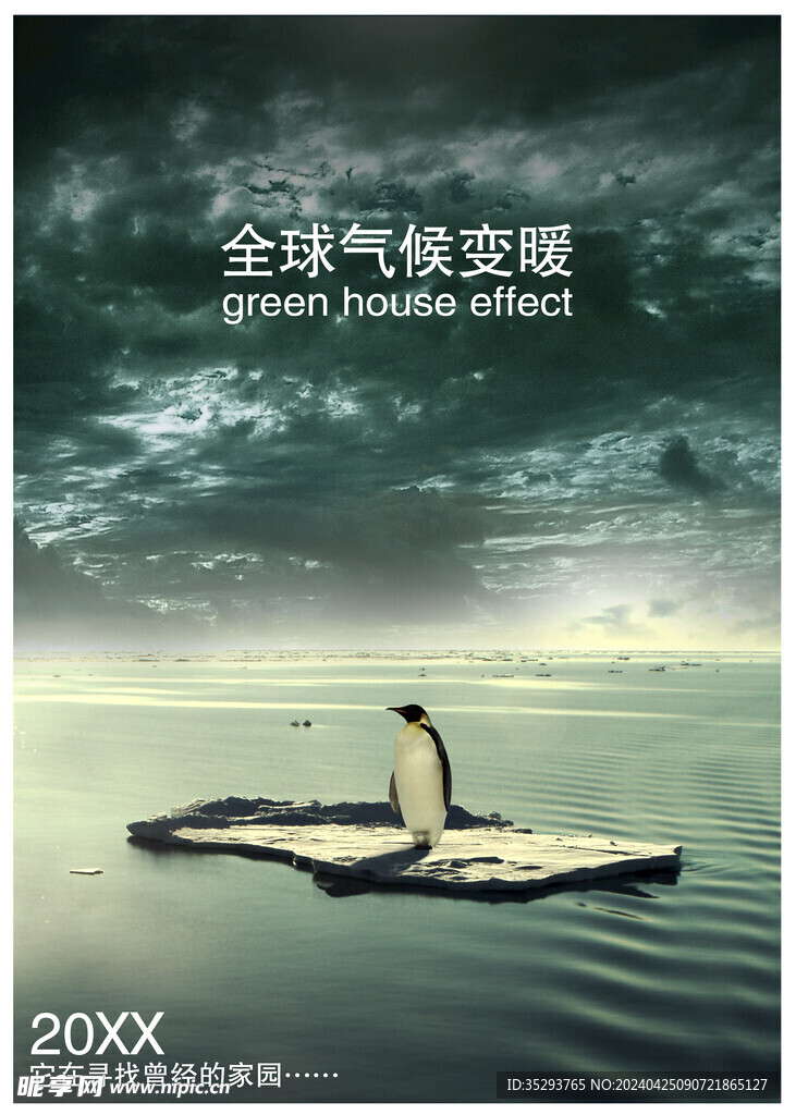 大海企鹅