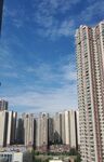 城市楼宇