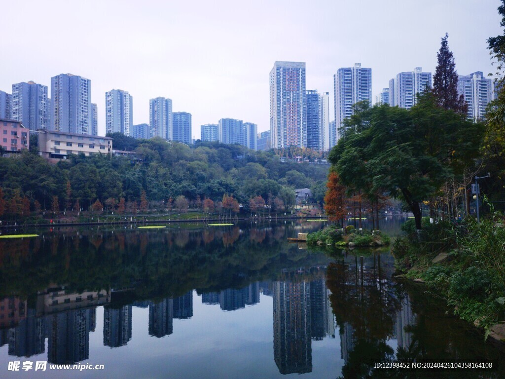 城市湿地公园湖泊