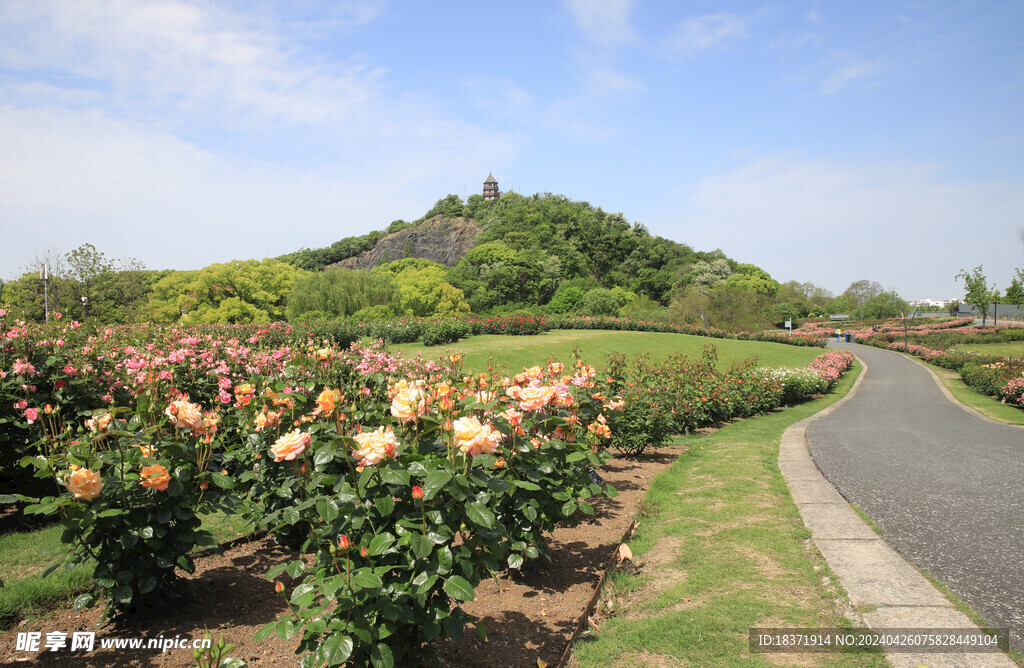 辰山植物园