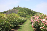 辰山植物园