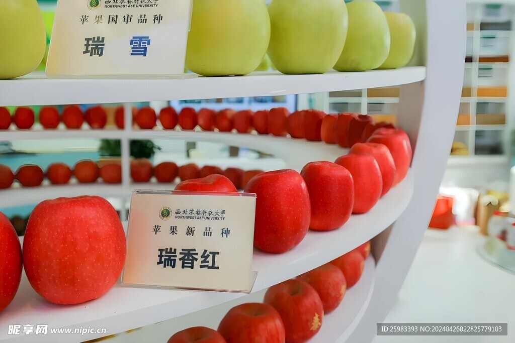 红苹果
