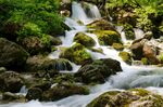 瀑布 水潭 流水 水流 溪水 