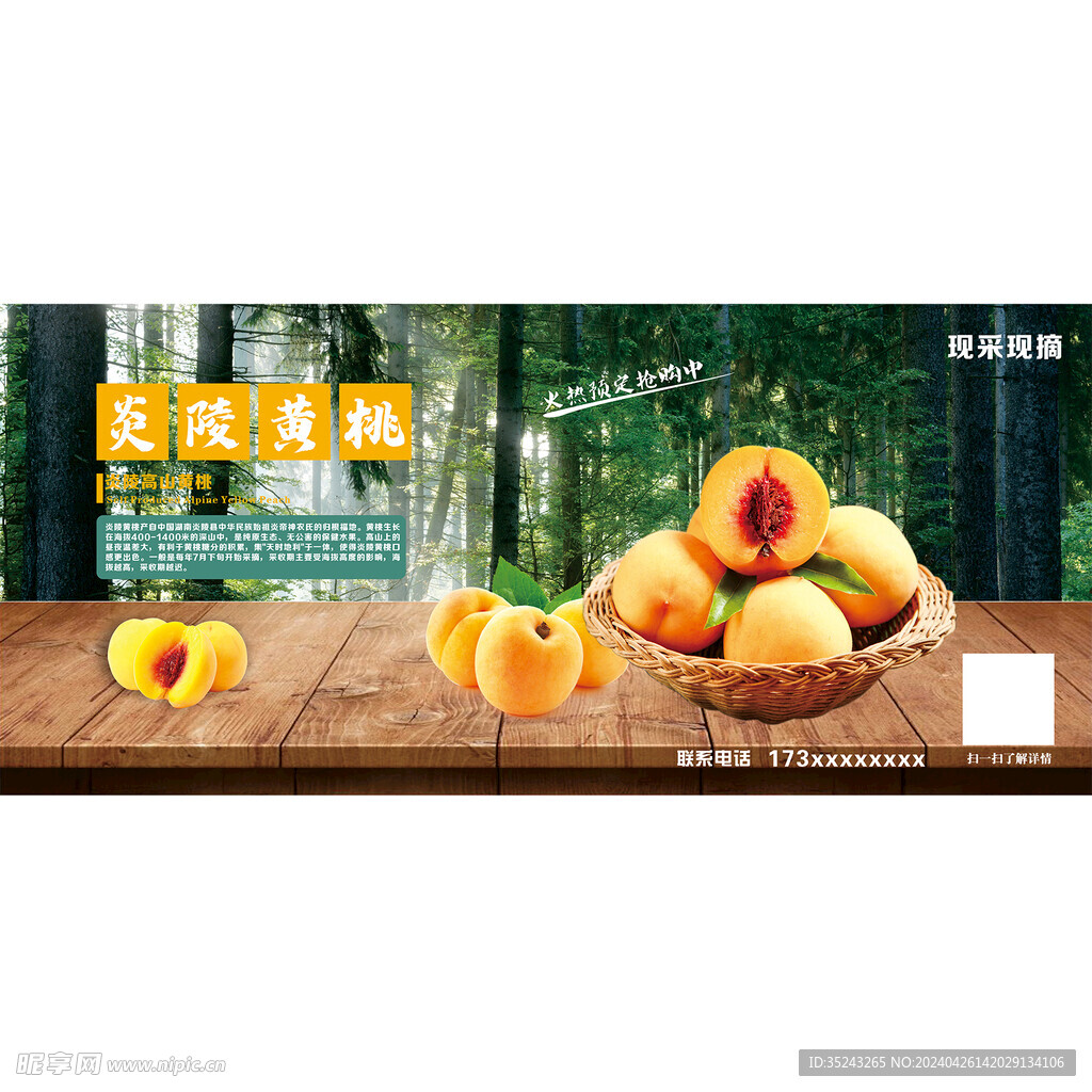 高山黄桃