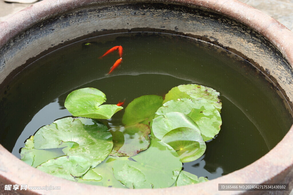 鱼缸 地缸