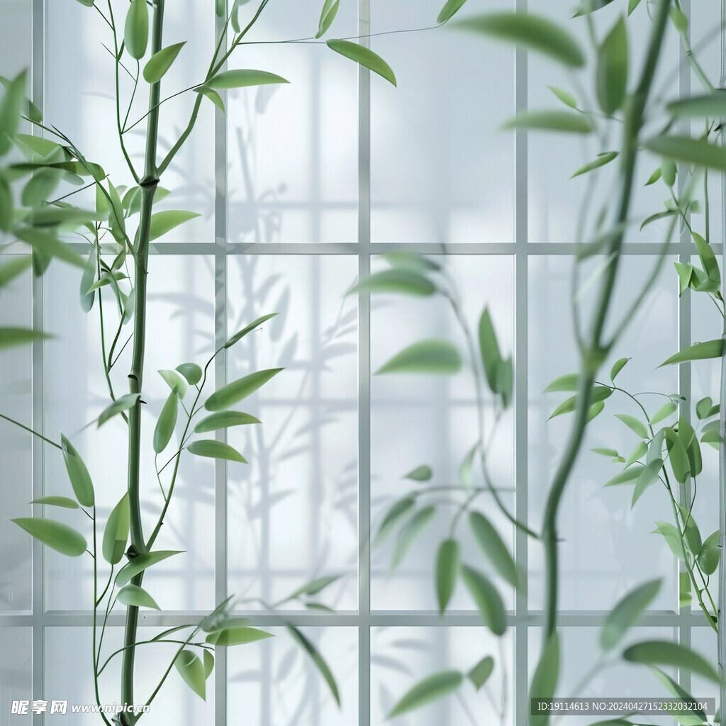 清新背景