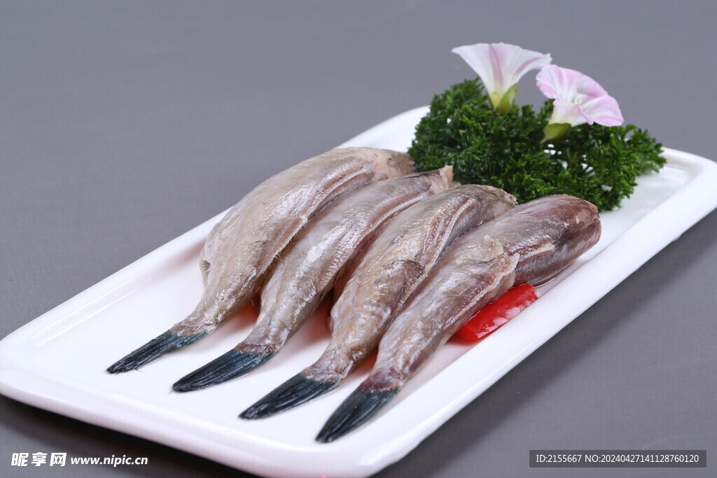 鱼 