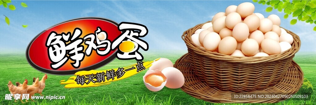 鲜鸡蛋