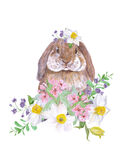 兔子手绘花