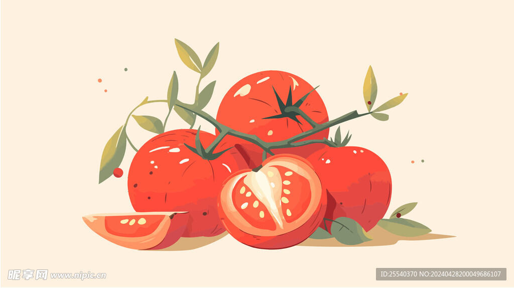 番茄插画