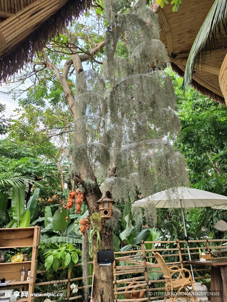 雨林餐厅