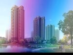           小区绿化 