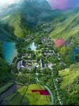           小区绿化 