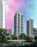          小区绿化  