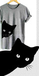 黑猫