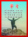 学习