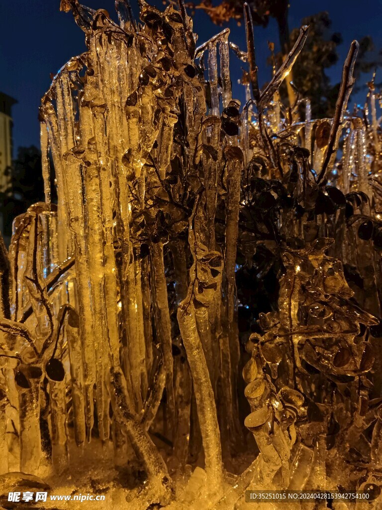 冻雨