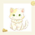 黄油猫咪