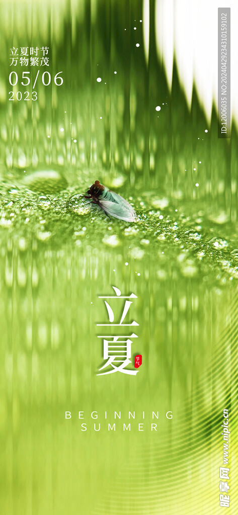 立夏海报设计 