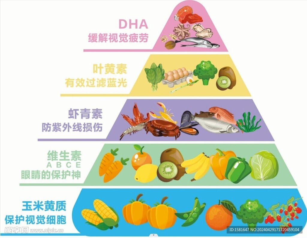 食物金字塔 保护视力的食物