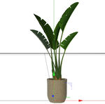 C4D模型 绿色植物