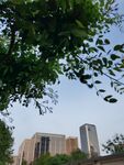 城市 天空