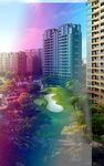          小区绿化  