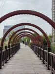 龙潭公园绿树风景木桥长廊走廊