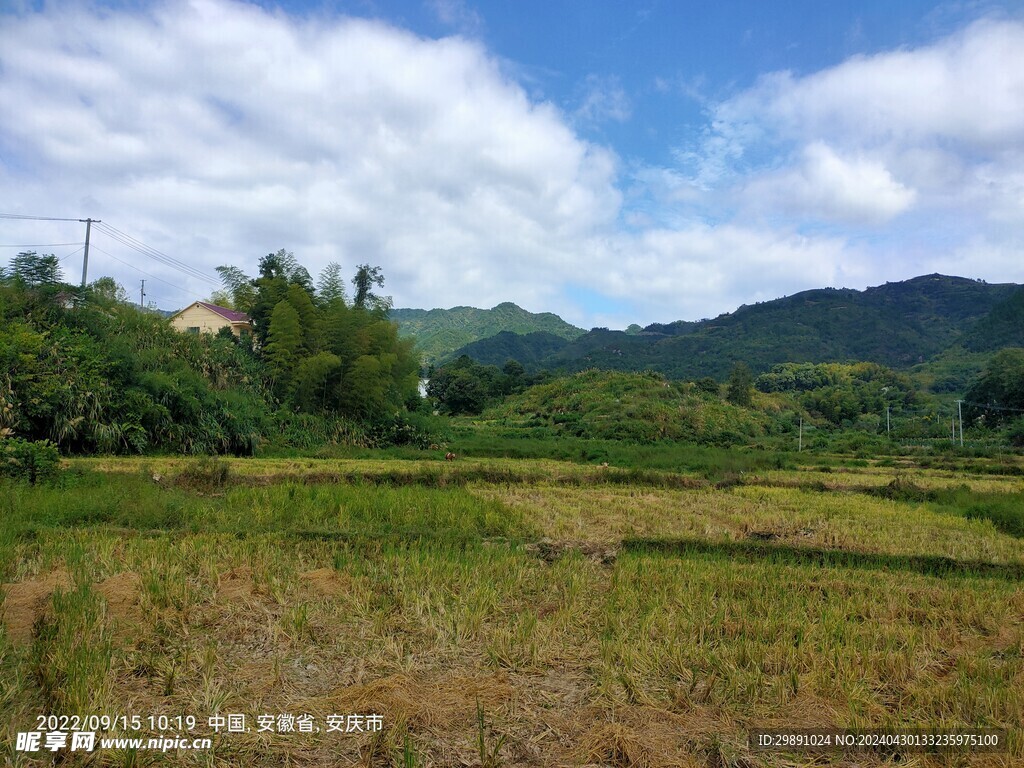 山村