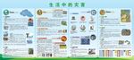 生活中的自然灾害防范知识宣传栏