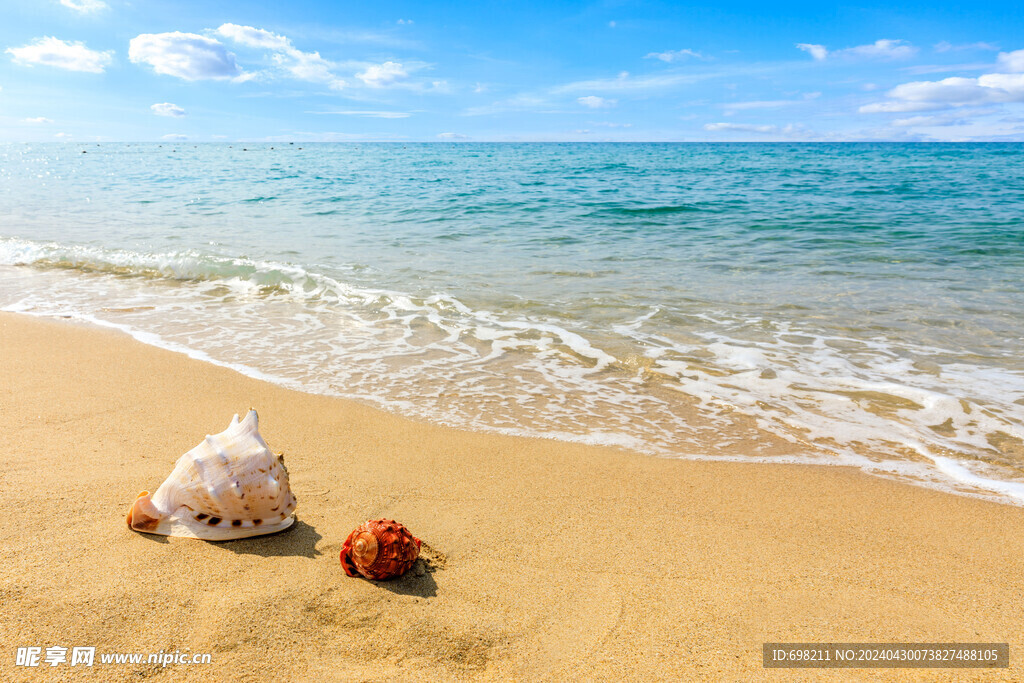 海滩海螺浪花沙滩贝壳海洋天边