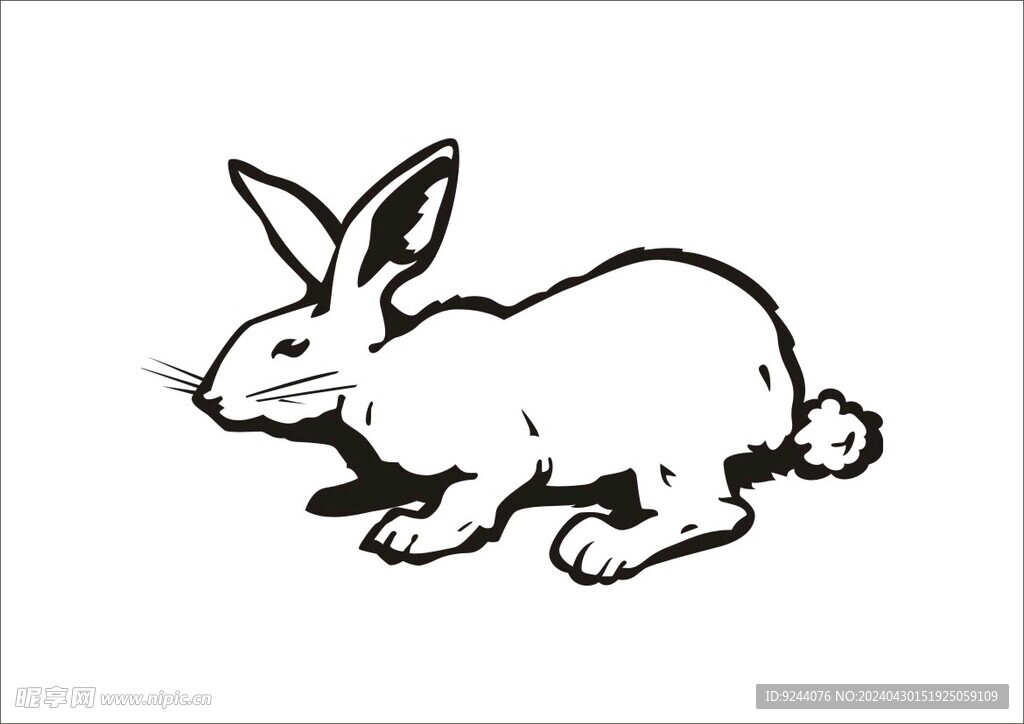 rabbit兔子