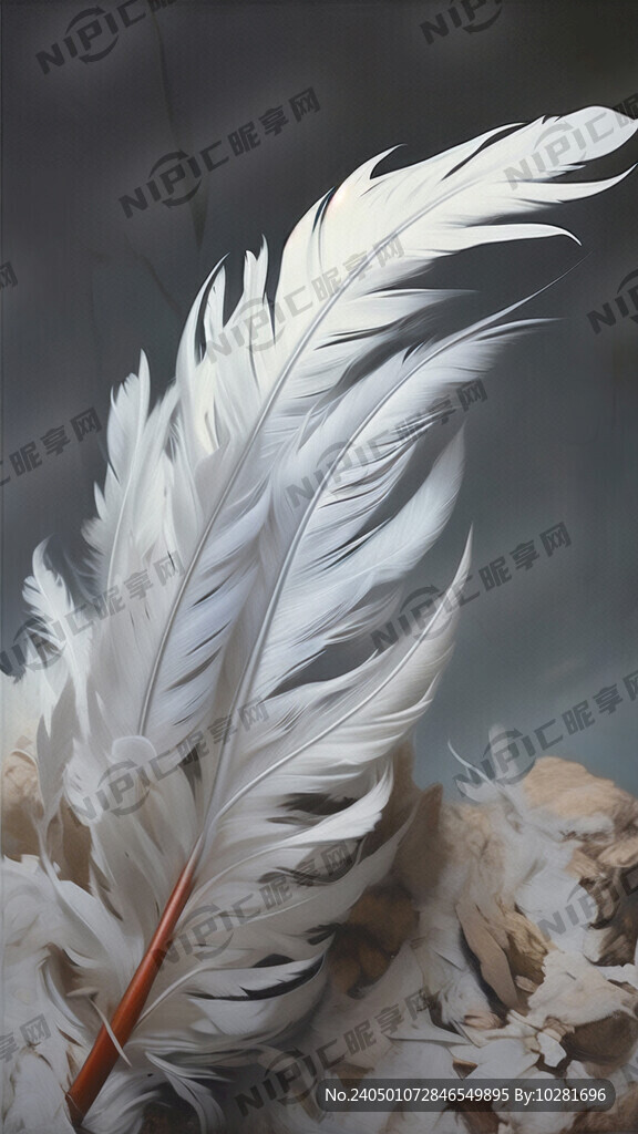 白色的羽毛