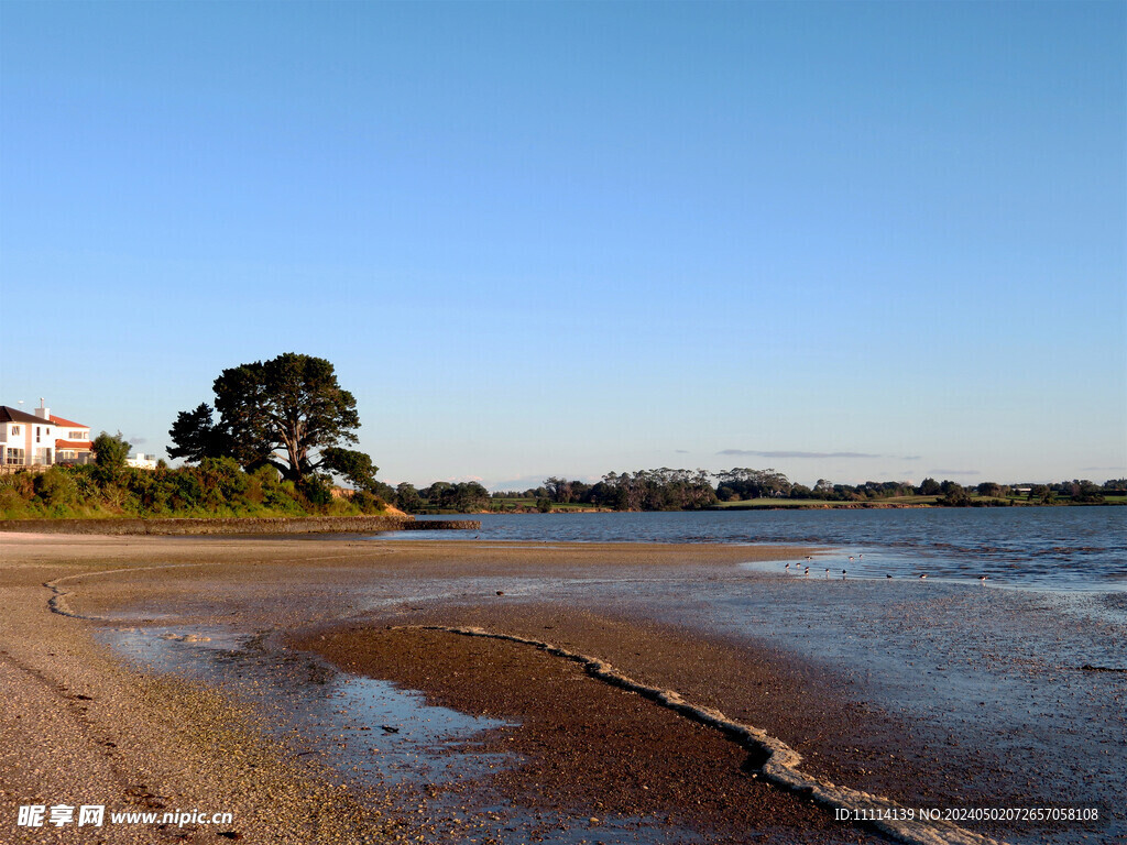 奥克兰海边小镇风景