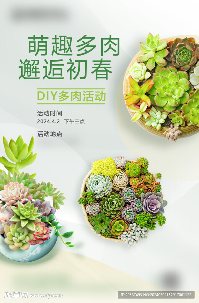 DIY多肉