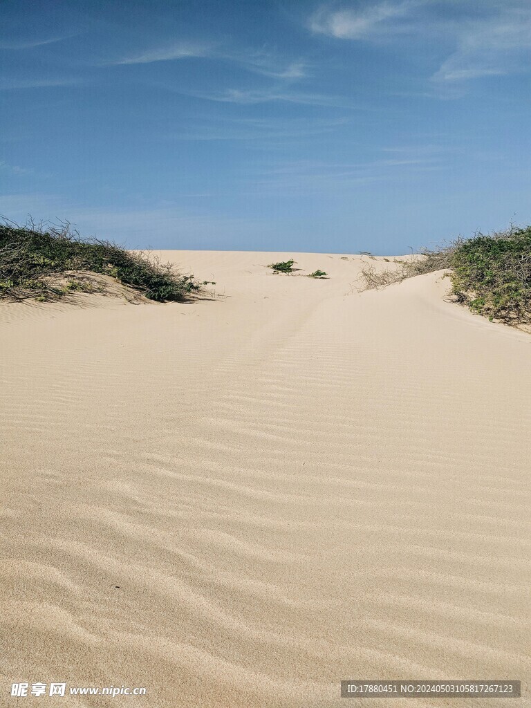 沙漠