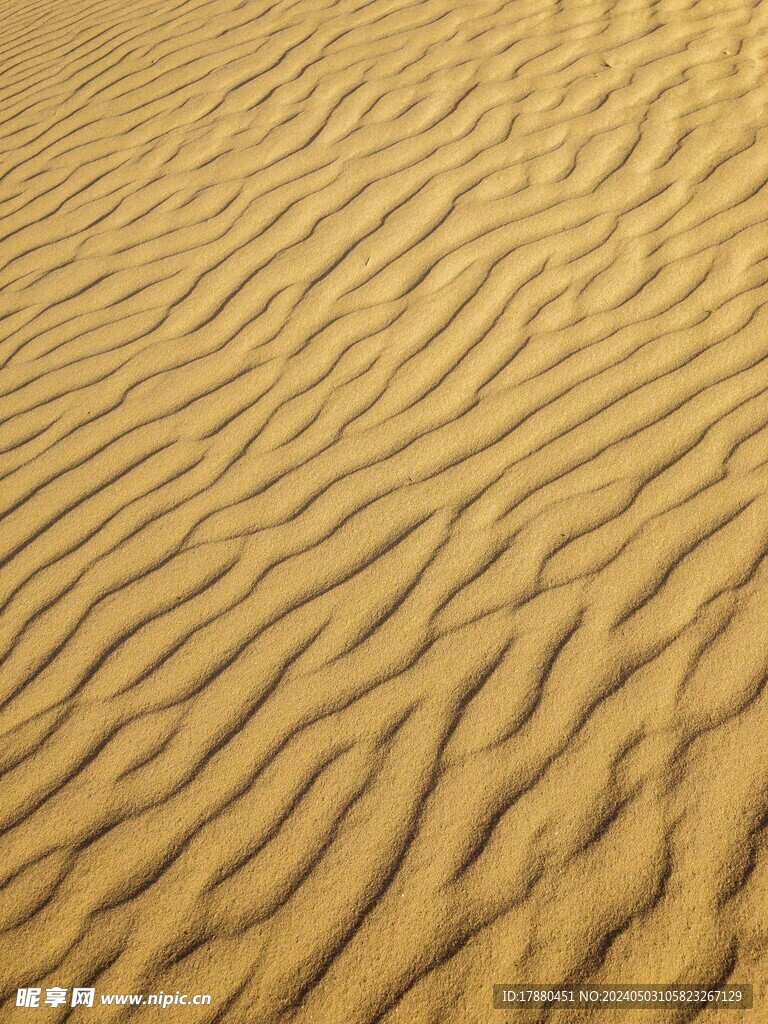 沙漠